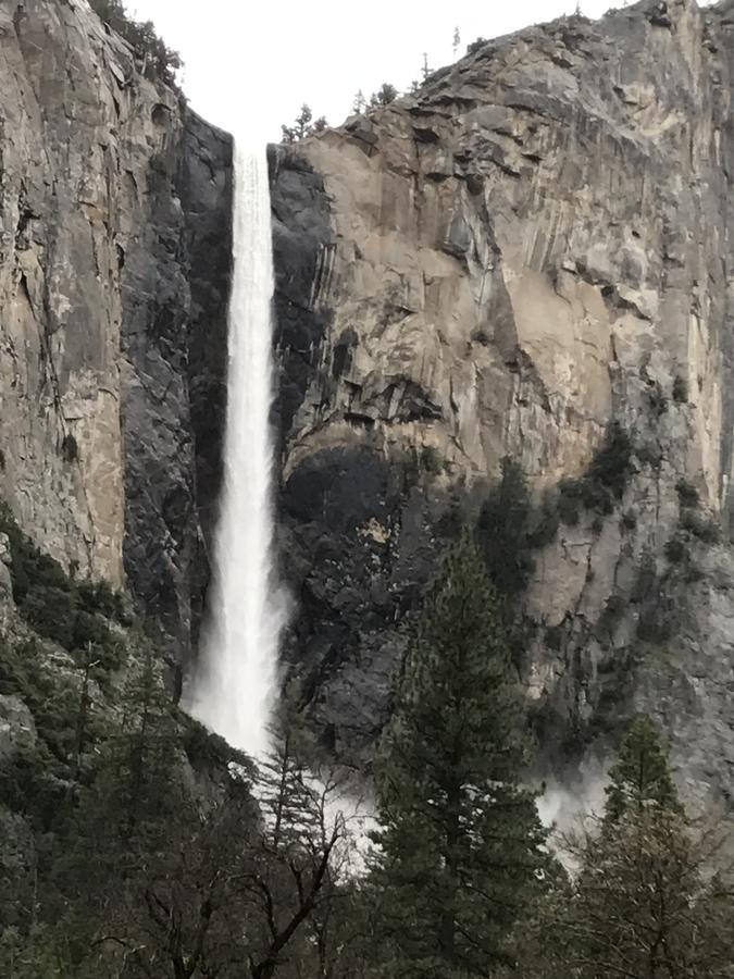 Yosemite Condominium Yosemite West Kültér fotó